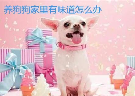 养狗如何除味,养狗怎么除味 养狗如何除味,养狗怎么除味